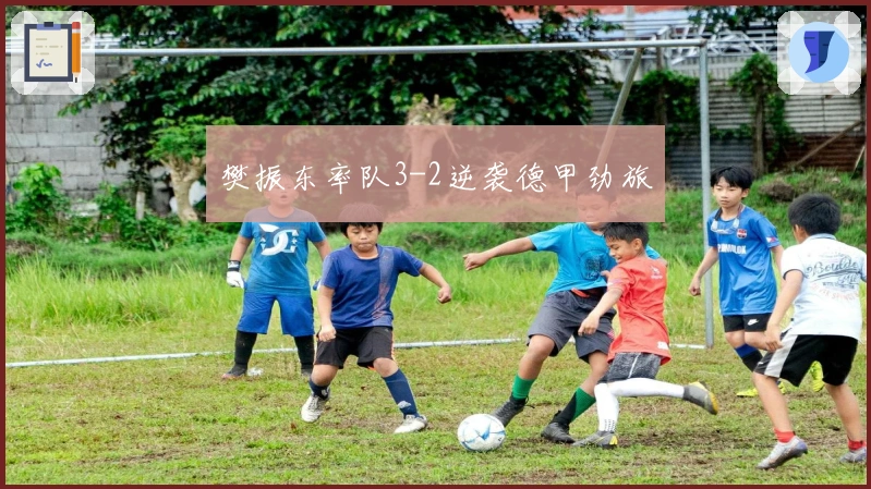 樊振东率队3-2逆袭德甲劲旅